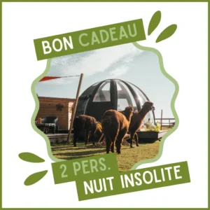 Bon cadeau pour une nuit insolite (2 pers.)