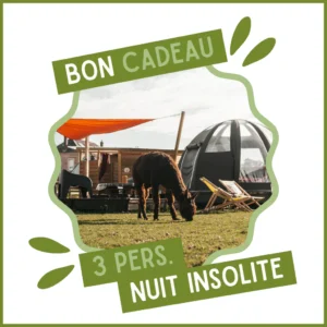 Bon cadeau pour une nuit insolite (3 pers.)