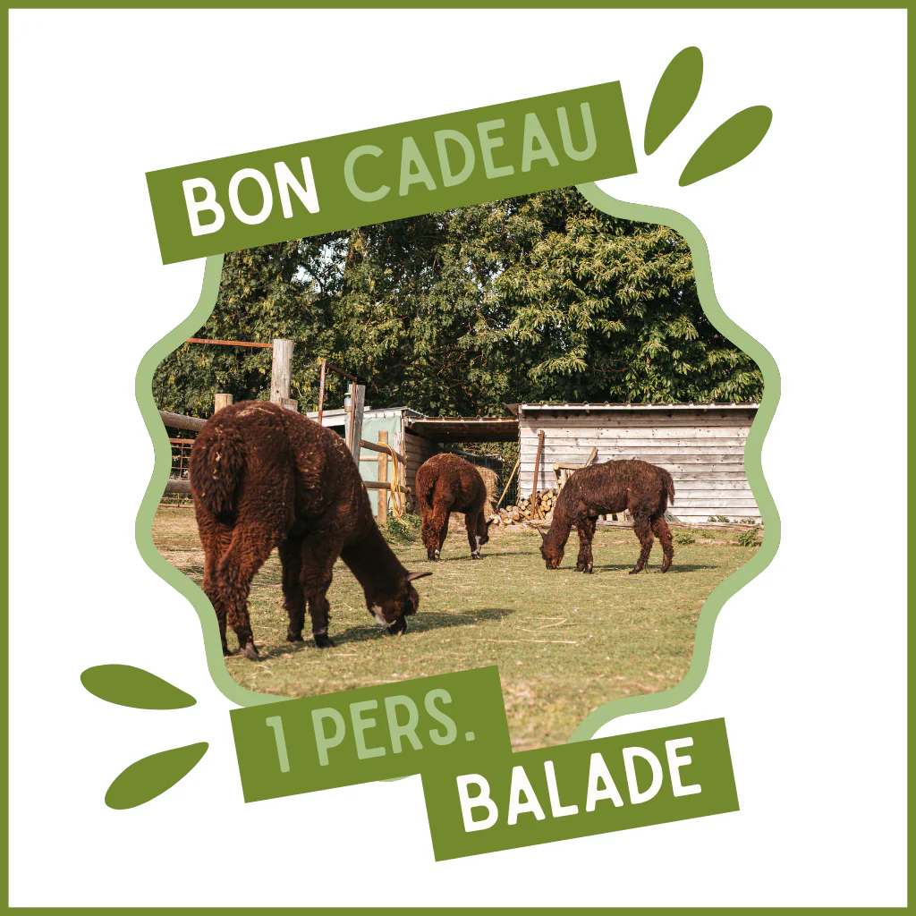 Bon cadeau pour une balade (1 pers.)