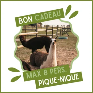 Bon cadeau pour un pique-nique (jusqu'à 8 pers.)