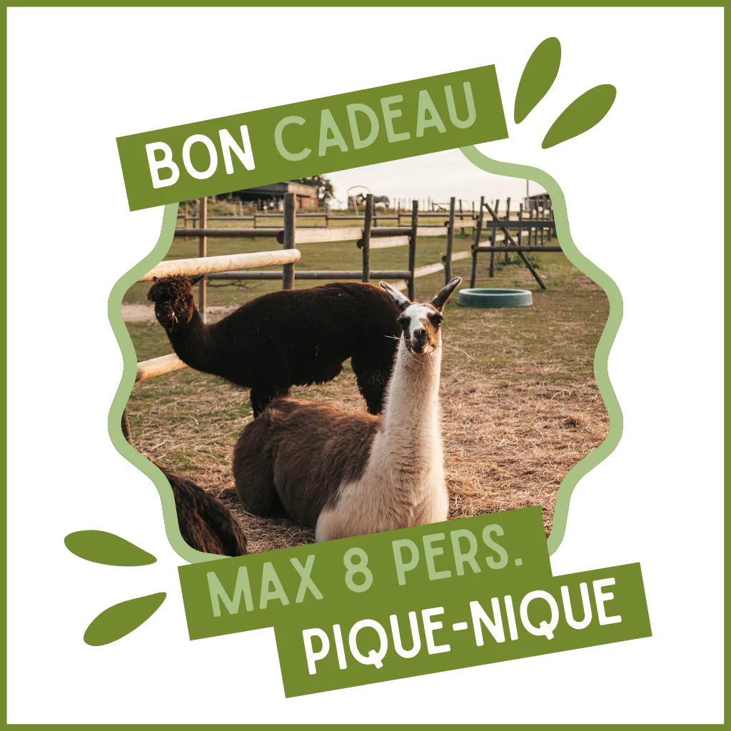 Bon cadeau pour un pique-nique (jusqu'à 8 pers.)